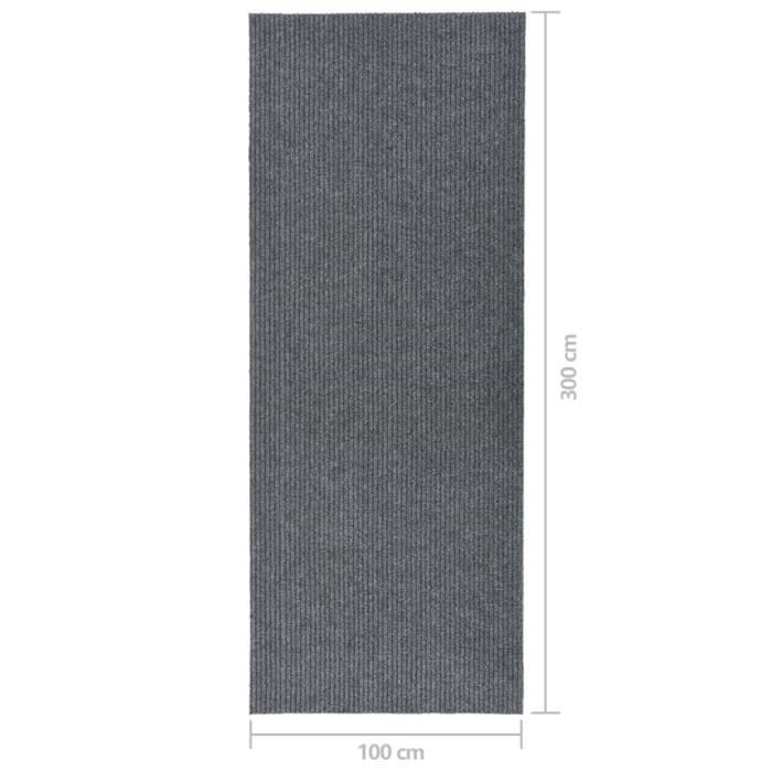 VidaXL Carpet 100x300 Cm Grey