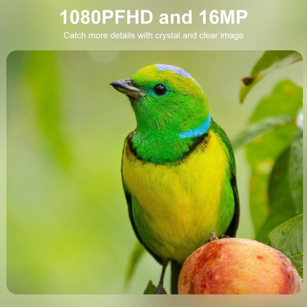 Мини-охотничья камера HD Wildlife Monitor 940nm инфракрасное ночное видение прочная и водонепроницаемая камера для слежения за дикой природой для разведки и охоты