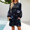 Fashion Womens Long Sleeve A Line Dress Fall Casual Pullover Crewneck Loose Fit Dress With Pockets