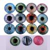 20pcs New Toy Dinosaur Animal DIY Crafts Time Gem Eyeballs Glass Dolls Eyes