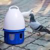 Automatic Bird Water Dispenser Drinker Feeding Outdoor Hanging Feeder Pot Container