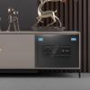 Tiger Brand Borui Series Fingerprint Password Safe