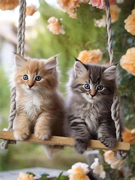 5D алмазная картина кошка полная круглая мозаика вышивка животное ручная работа подарок домашний декор