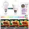 Mini-Krypton LED Bulbs, E17 Base, 60W Equivalent, Warm White, Wide Beam, Compatible with Insulated and Sealed Fixtures (Warm White, Pack of 2)