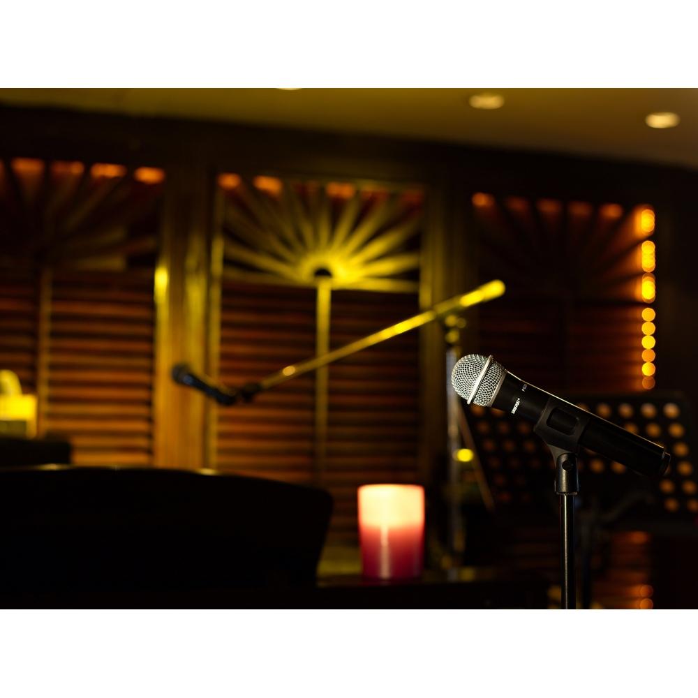 Shure Handheld Microphone SVX2PG28-JB1