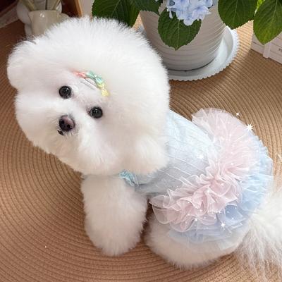 Летнее новое шифоновое платье для питомца, одежда для маленького питомца, платье феи для собаки бишон фризе, померанского шпица, питомец кошка и собака