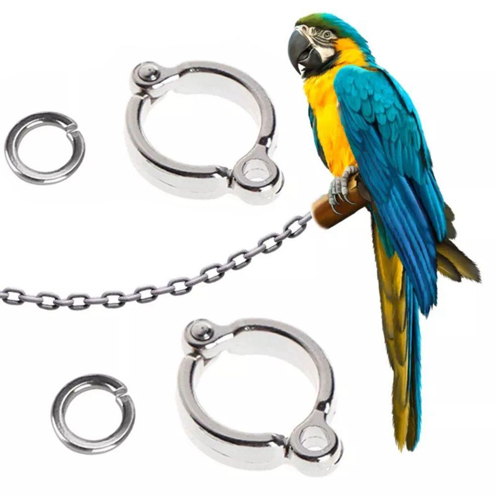 Activity Clip for Pigeon Bird Leash Accessories Bird Supplies Bird Leg Rings Parrot Foot Rings