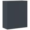 Filing Cabinet Anthracite 90 x 40 x 105 cm Steel