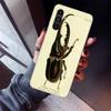 Bugs Bees Scientific Decomposition Phone Case For Samsung Galaxy A17 A16 A15 A14 A13 A57 A56 A55 A54 A53 A37 A36 A35 A34 A33 A26