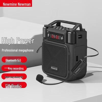 Портативный беспроводной усилитель голоса Newmine MS19, штекер CN (адаптер в комплекте)