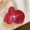 Side Clip Orchid Butterfly Hair Clip Phalaenopsis Pearl Hair Clip Flower Hairpin Hair Accessories
