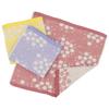 Hiorie Gauze Hand Set of Made In Petit 3 Colors 6-Layer Towels, 3, Japan, Bloom,