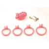 Pink Bow Sissy Chastity Cage Angel Cock Cage Belt with 4 Size Penis Rings Fidelity Device Bondage Equipment SM Sex Toys for Man
