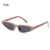 Unique Small Frame Cat Eye Sunglasses for Women Trendy UV Protection Triangle Shades Hip-Hop Sun Glasses Fashion Eyewear