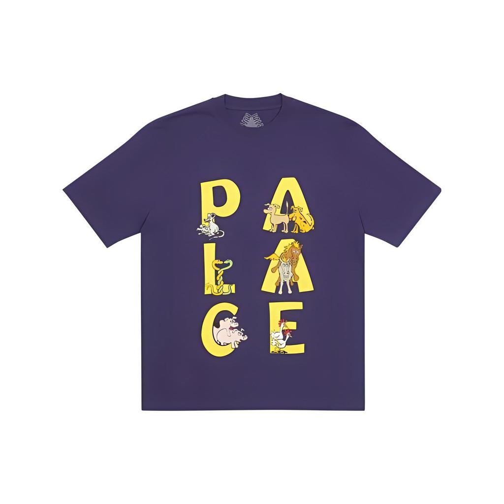 Palace Футболка Session Фиолетовые мужские топы P23TS124