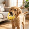 Bite Resistant Plush Dog Toy Ball Soft Squeaky Dog Toy Cute Dog Training Toy Ball  Fetch Play