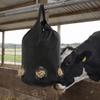 Large Capacity Hay Storage Bag Waterproof Breathable Horse Hay Bag Oxford Cloth Moisture-proof Slow Feeding Hay Bag