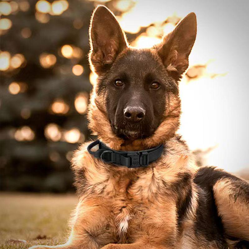 Sturdy Tactical Anti-Escape Dog Collar & Leash for Medium/Large Breeds - Malinois, Golden Retriever, German Shepherd, Hunting Dogs.