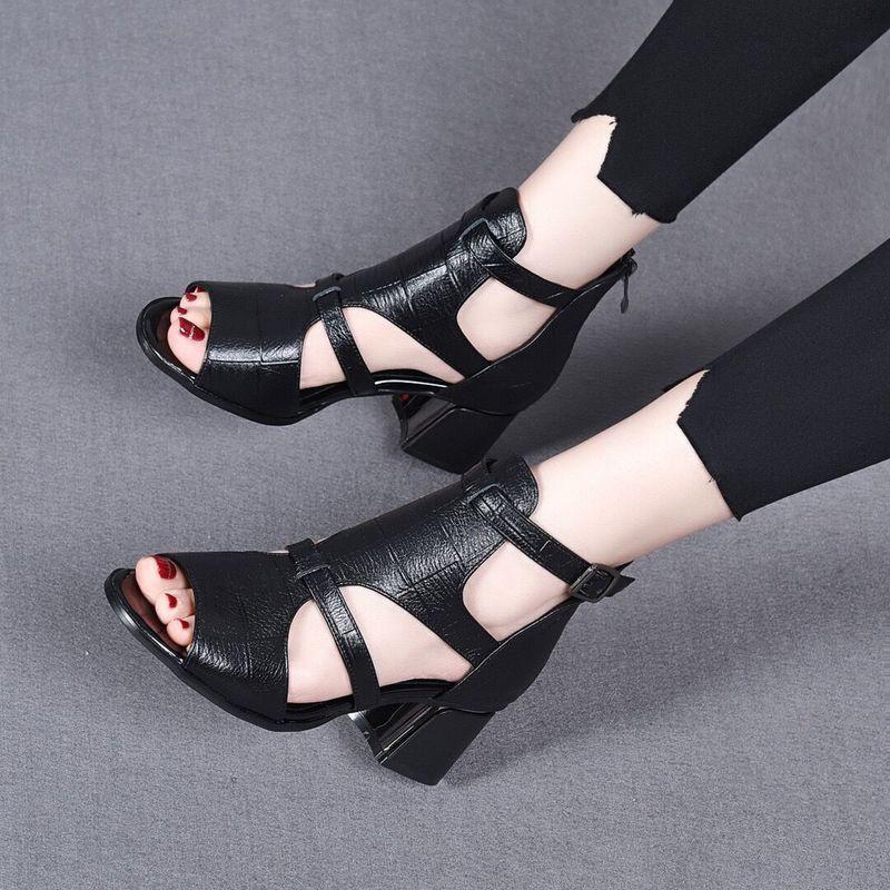 High Heeled Sandals Female New Summer Fish Mouth Shoes Chunky Heel Roman Back Zipper Sandals Solid Casual Sandales Femmes