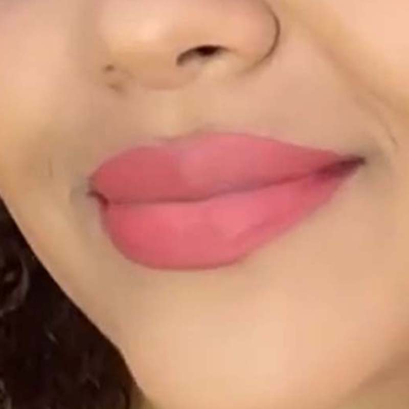 HANDAIYAN Sexy Red Lip Tint Matte Liquid Lipstick Waterproof Easy To Color 12 Matte Bare Pink Lipstick for Girls Makeup Cosmetic