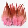 20pcs /Lot Pheasant Feathers For Crafts Jewelry Decoration Dream Catcher Natural Feather Chicken Carnival Handicraft Accessories