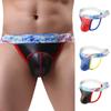 Men's Underwear Imitation Low Waist Erotic Panties Briefs Sexy Underpants Thong