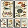 Винтажные Постеры с Насекомыми, Птицами, Рыбами, Животными, Образовательные, Домашний Бар, Декор для Кафе, Искусство, Настенная Живопись, Настенный Декор, Постер, Холст