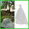 50Pcs Fruit Grow Bags Anti Bird Prevent Plant Grow Bags Drawstring Grape Tool