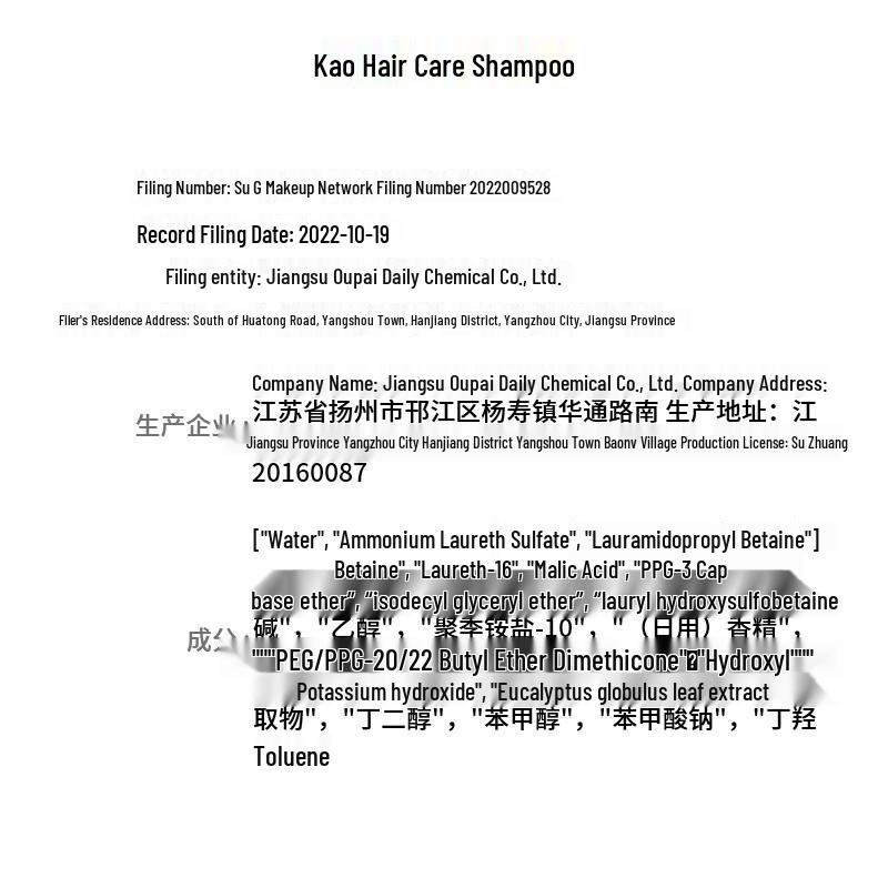 Kao Refreshing & Smooth Hair Care Shampoo