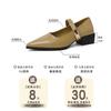 Shallow mouth word with pointed thick heel high heels spring and summer French medium heel Mary Jane shoes commuter women's shoes