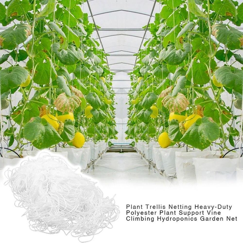 1 шт. 5x30 футов сетка для вьющихся растений многоцелевая сетка для поддержки растений прочная сетка для шпалер вьющиеся растения