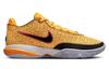 Nike LeBron 20 EP 'James Gang'
