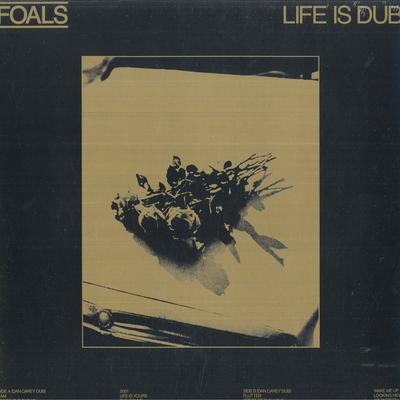 Виниловая пластинка FOALS - Life Is Dub 5054197405761 Warner Records 2023 Всемирная Танцевальная и Электронная Музыка