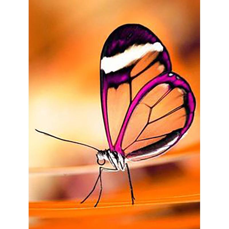 DIY 5D алмазная живопись Бабочка полная круглая дрель цветочная Алмазная вышивка крестиком мозаика стены книги по искусству домашний декор подарок