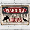 Warning Property Crows Funny Raven Display No Trespassing Sign Metal Yard and Farm Decoration Classic Field Sign and Vintag