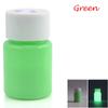 20g Cool Party DIY Craft Glow In The Dark Luminous Paint Pigment Acrylic