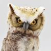 BH6767 HANSA Fish Owl 26 Blakiston's