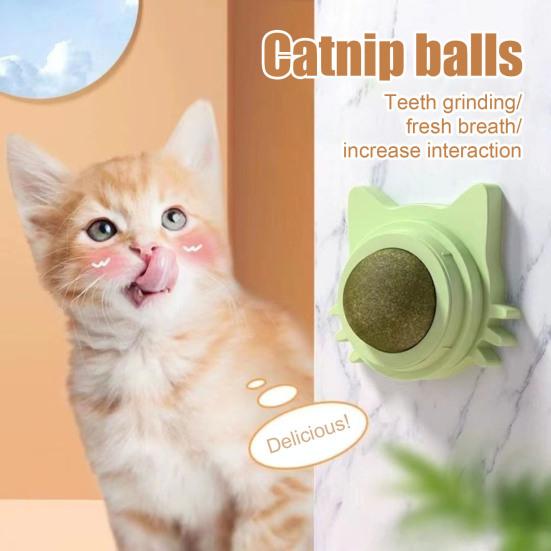 Catnip Ball Edible Catnip Ball Toy Safe Healthy Kitten Chew Teeth Cleaning Dental Toy Wall Treats Cat Lick Ball Toy for Indoor Cats