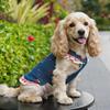 Suspender Dress Dog Denim Dress Breathable Mesh Cat Clothes Pet Dog Skirt  Couple Outfit