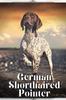 Книга German Shorthaired Pointer : Dog Breed Overview and Guide