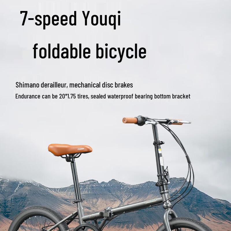 Phoenix Folding Bicycle