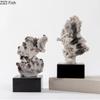 Камень Тайху Альпинарий Ландшафтная Скульптура Украшения для Стола Креативная Коралловая Статуэтка Декор для Эстетики Комнаты Современные Ремесла