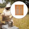 Beehive Propolis Collector Beekeeper Tool Easy To Use Compact Beekeeping Frame