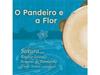 [CD] O Pandeiro E a Flor Nomal Edition Sakura Uzawa SKRDP-20231 Pandeiro Player