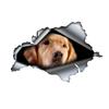 Golden Retriever 3D Vinyl Car Sticker, Fun Insurance Bumper Sticker for Cars, Trucks, Motorcycles, Walls, Windows, PVC Material