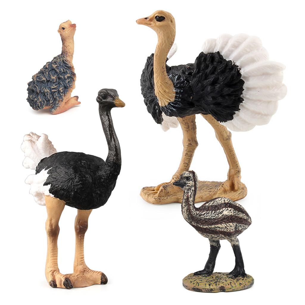 Kids Bird Animal Replica Pvc Nonstatic Australian Ostrich Duckling Figurine For Classroom And Playroom Decor