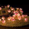 1PC Pink Cherry Blossom Light String, Simulated Cherry Blossom Plum Blossom Shape Decorative String Light Battery Box Copper Wire Light