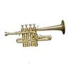 Brass Finishing Trumpet With Free Case+ Mouthpiece