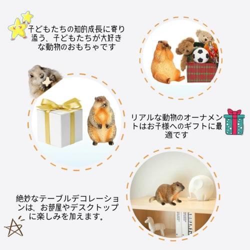 Oshhni 4-Piece Marmot Groundhog Figures, Realistic Animal Figures, Groundhog Model Toys, Birthday Gifts, Ornaments, Educational Toys for Kids, Hallowe