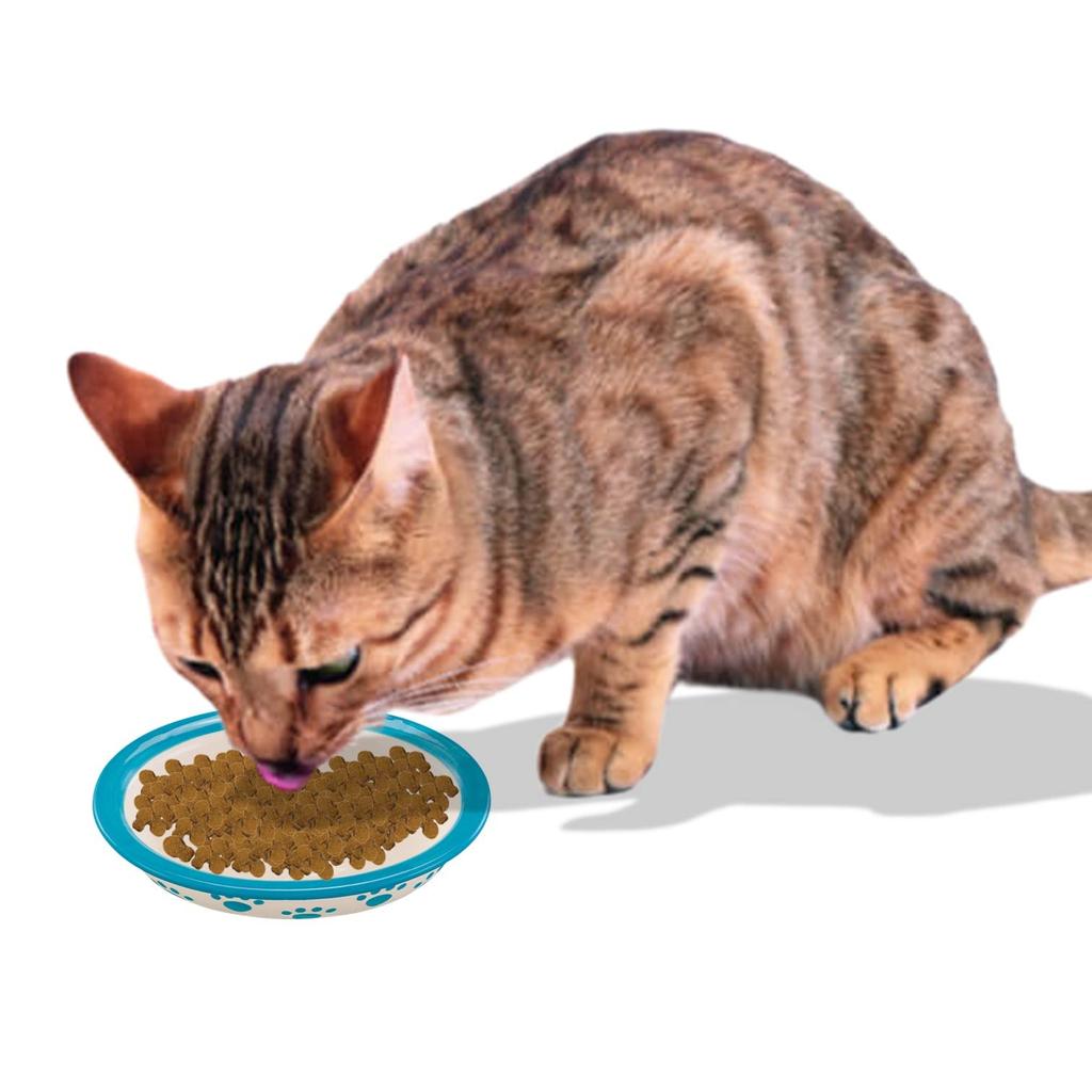 Pet Rageous Designs Cat Tableware Pet Paw Baby Plum